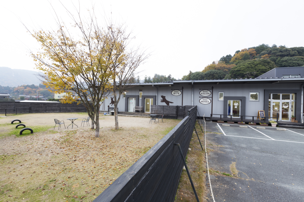 申込期限延長 9 8 日 ドッグサロン花陰バス見学ツアー Yicビジネスアート専門学校